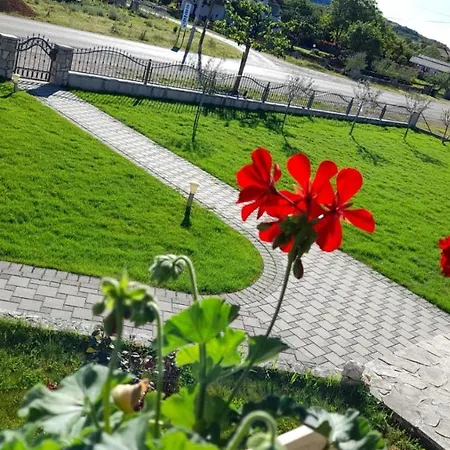 Apartment Kravica *